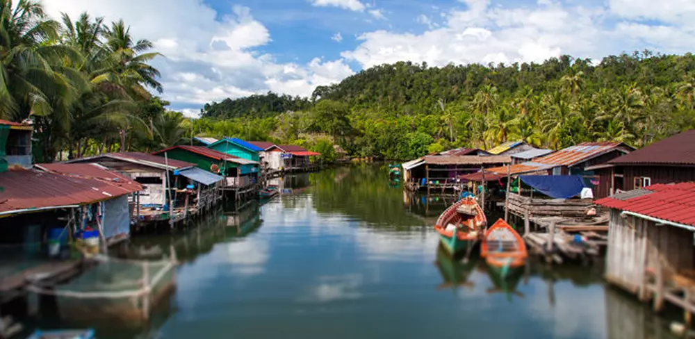 Village Flottant et forêt inondée