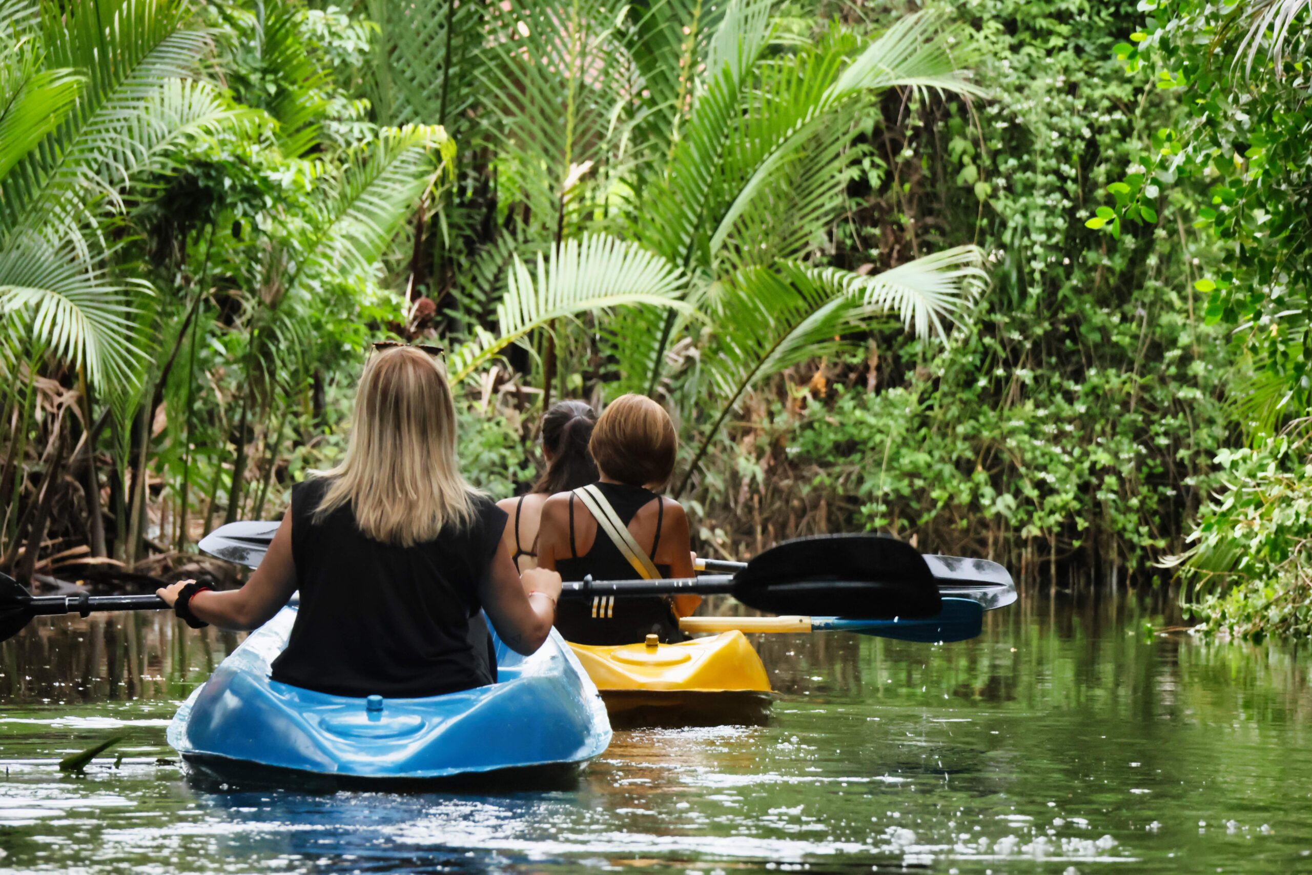 #8 Une aventure inoubliable en kayak à travers la mangrove de Kampot