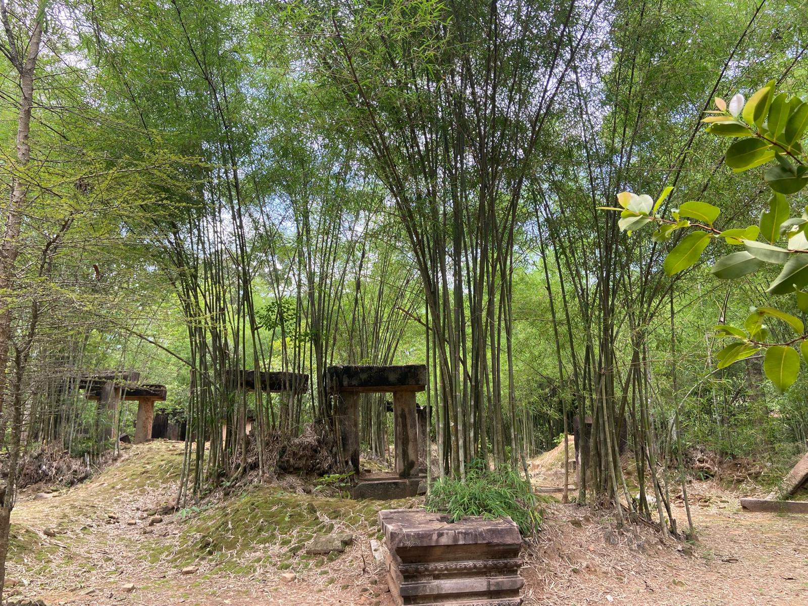 Escapade Bien-être et Spiritualité au Cambodge
